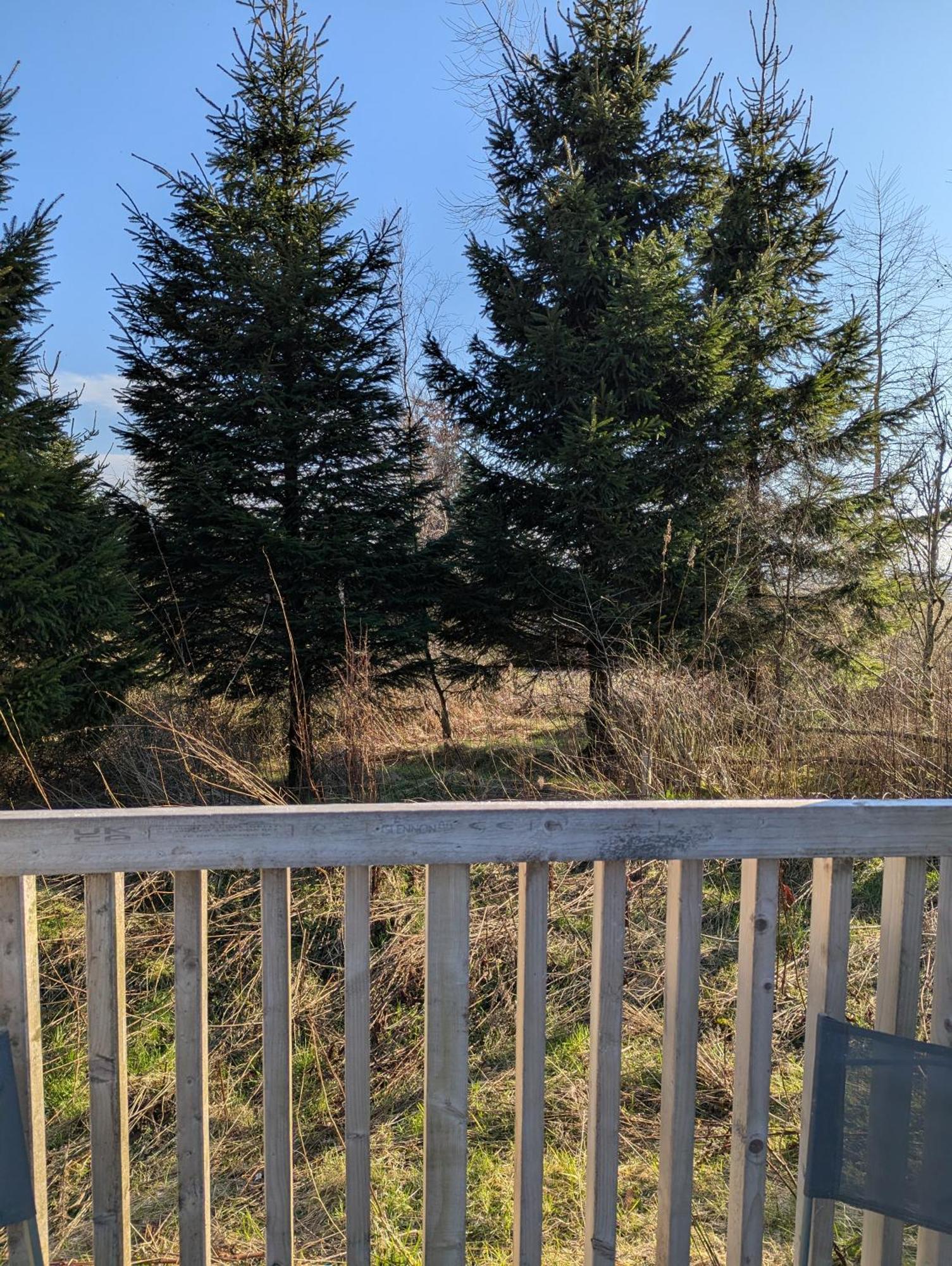 Appartamento Blair Snug Hut Kelty Esterno foto